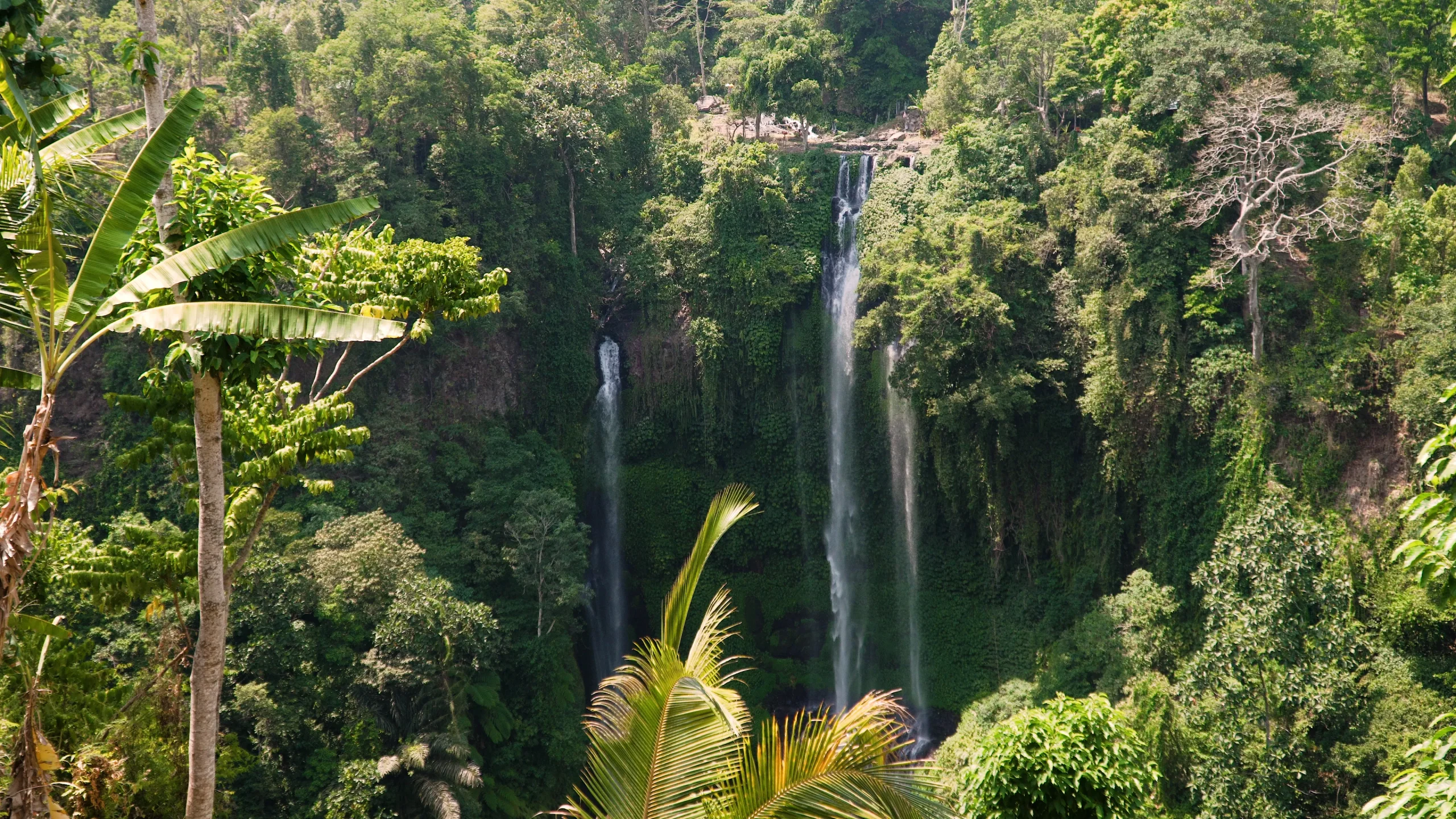Waterfalls falling through the Bali jungle